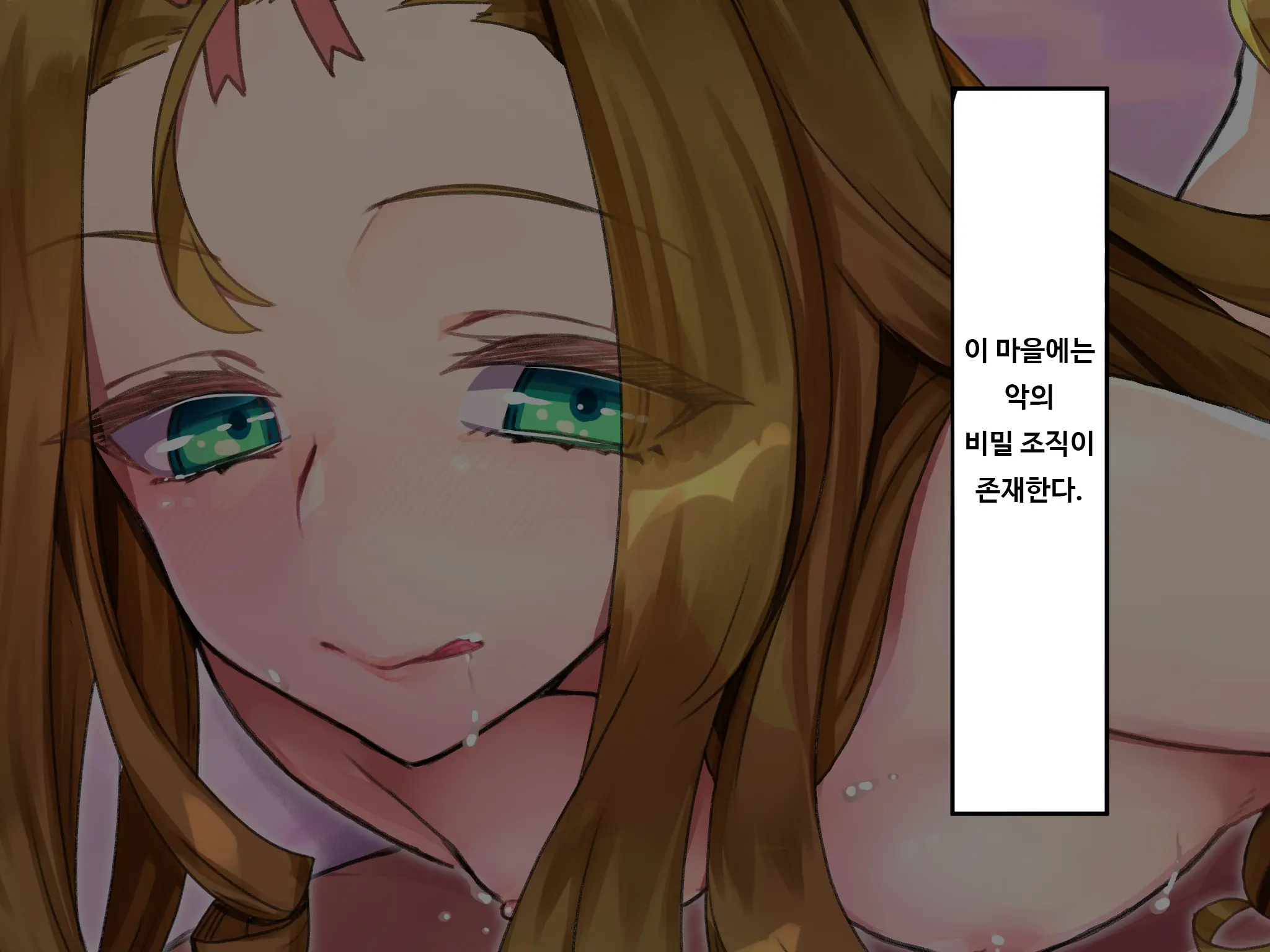 TS Mesu Dorei E No Kaizou | TS 암컷 노예로의 개조
